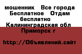 мошенник - Все города Бесплатное » Отдам бесплатно   . Калининградская обл.,Приморск г.